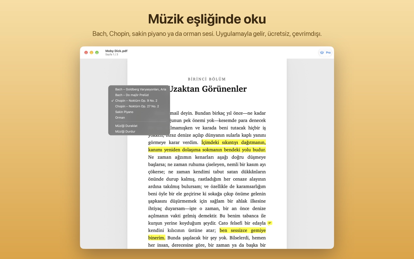 Chopin seçili Müzik menüsü