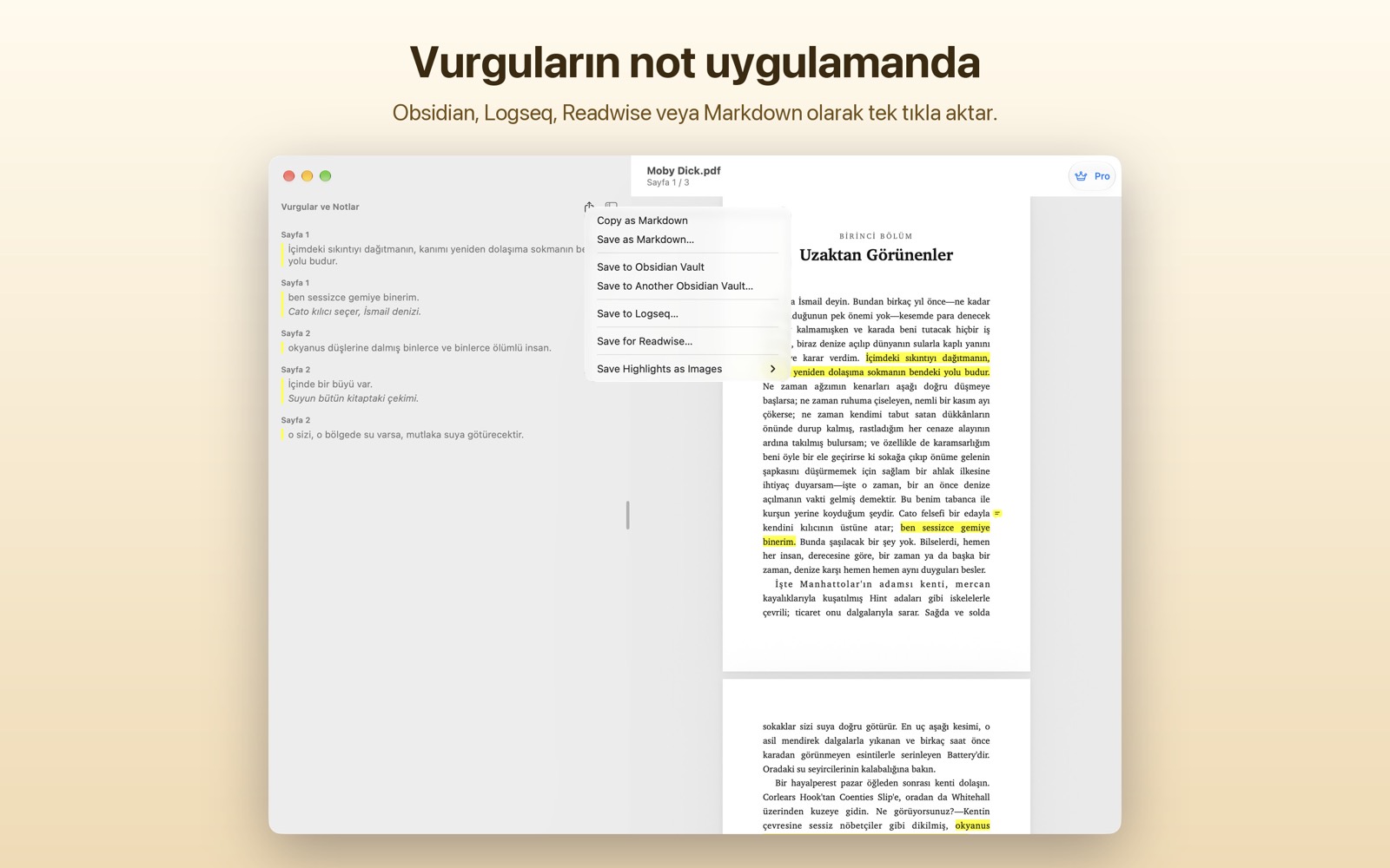 Vurgu panelindeki dışa aktarma menüsü