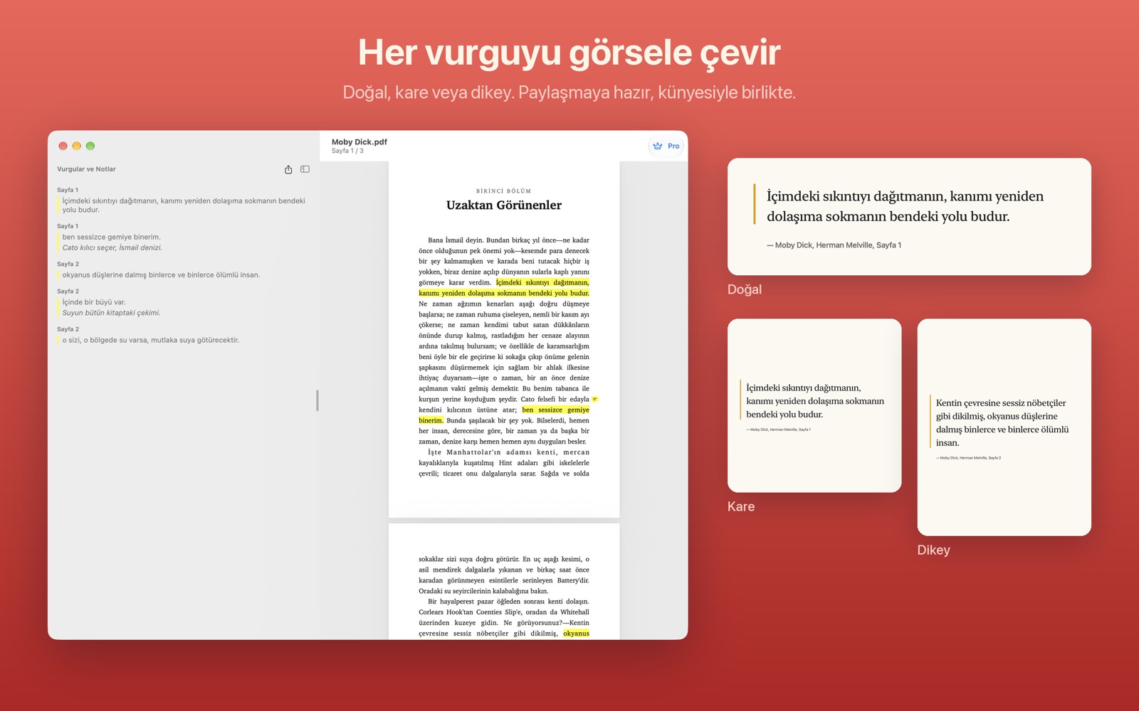 Alıntı kartı görselleri olarak dışa aktarılan vurgular